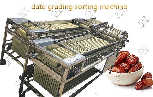 palm date sorting machine price