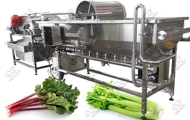 industrial fruit vegetable washer