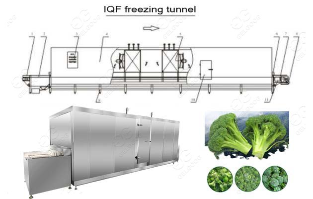 IQF freezing machine