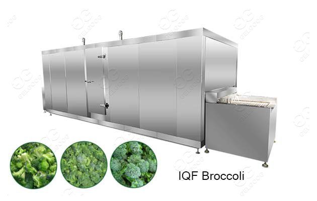 vegetable broccoli freezing machine