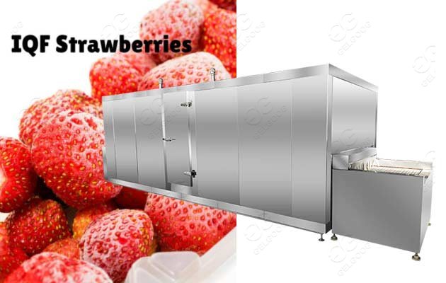 frozen strawberry making machine