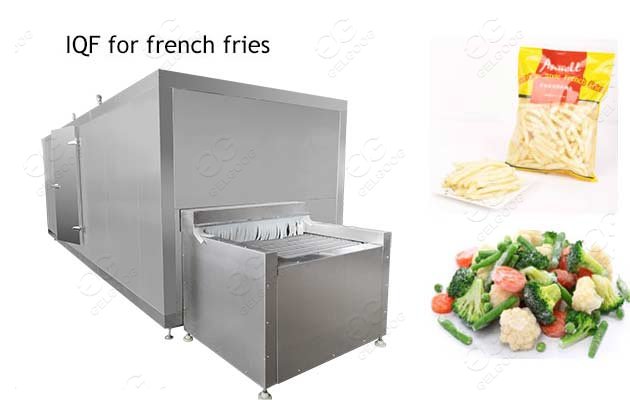 french fries freezing plant