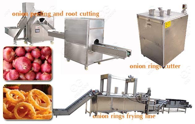 fried onion making plant