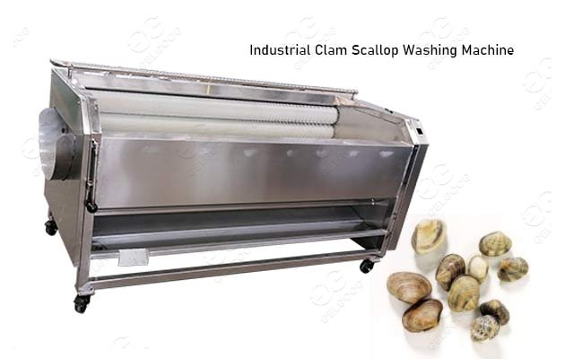 clam cleaning machine price