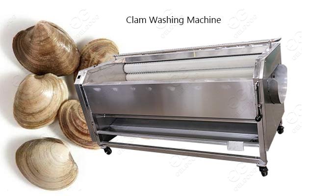 industrial clam washing machine