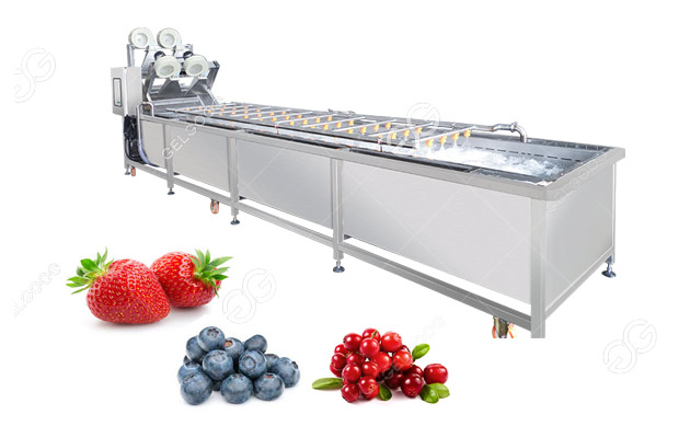 industrial strawberry washing machine