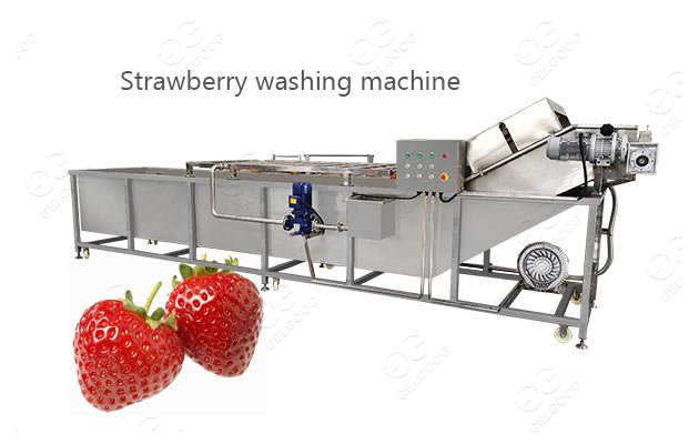 fruit strawberry washing machine