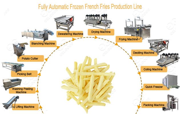 frozen french fries processing plant