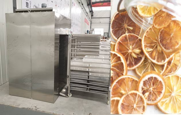 lemon drying machine for sale