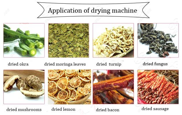 industrial leaves drying machine