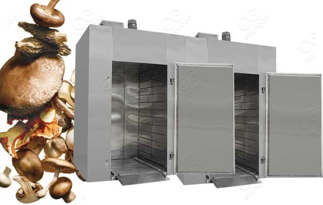 mushroom drying machine price