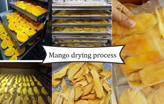 mango dehydrated dryer machine