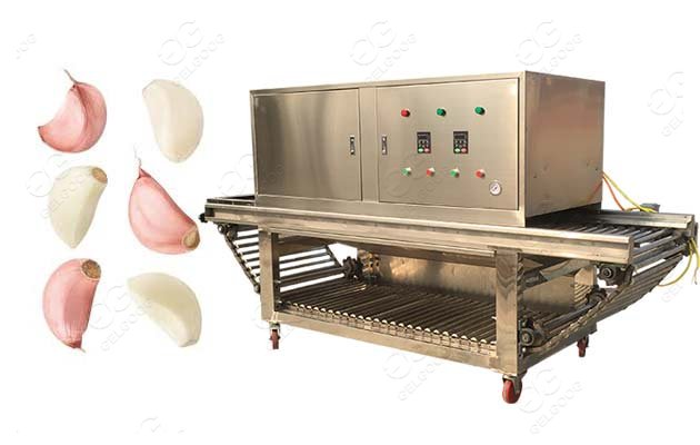 garlic peeler machine price