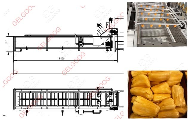 jackfruit washing cleaning machine