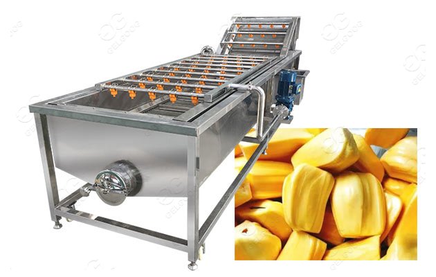 jackfruit washing machine supplier