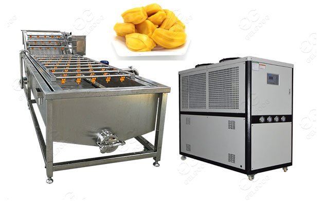 automatic jackfruit washing machine