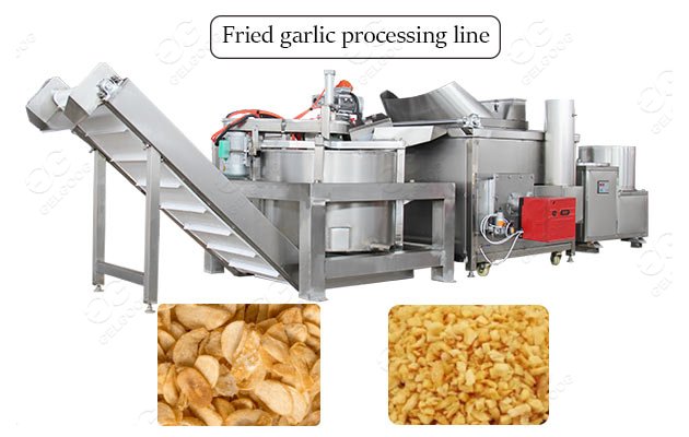 fried garlic processing line