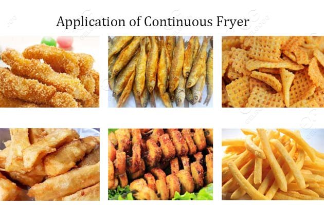 continuous fryer for sale