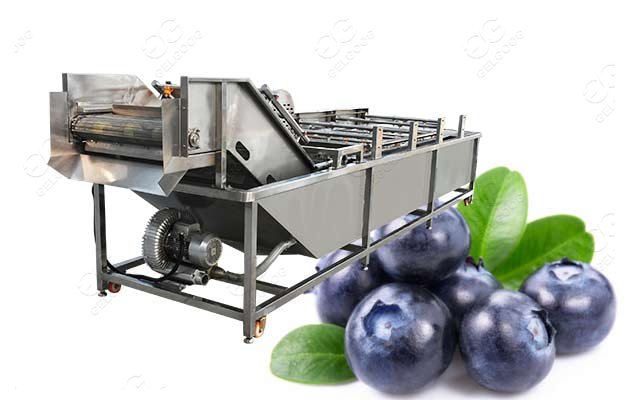 industrial blueberry washing machine