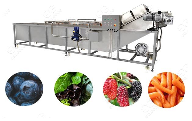 fruit blueberry washing machine