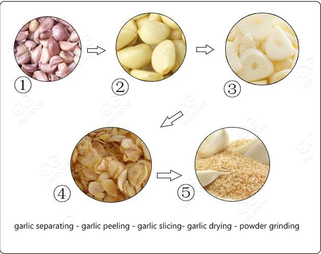 industrial garlic powder processing line