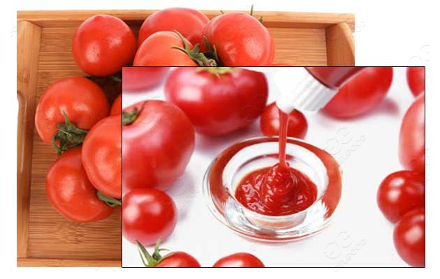 tomato processing solution