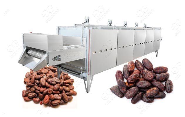 cocoa roasting machine price