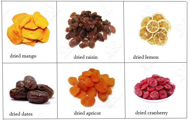 industrial fruit dehydrator