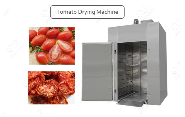 industrial tomato drying process