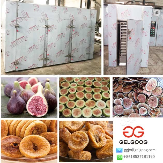 industrial fig drying dehydrator machine