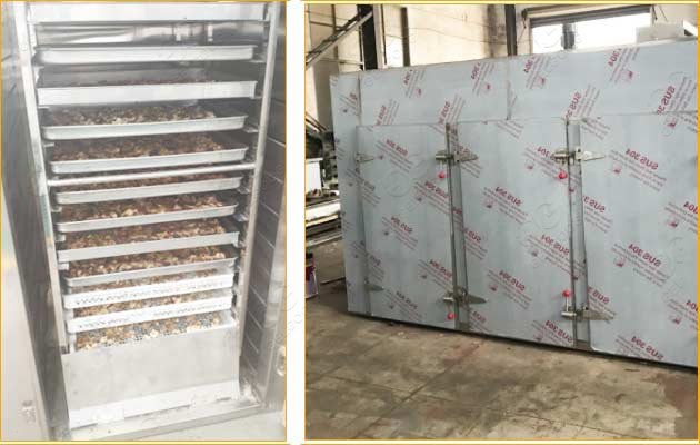 fig drying dehydrator machine