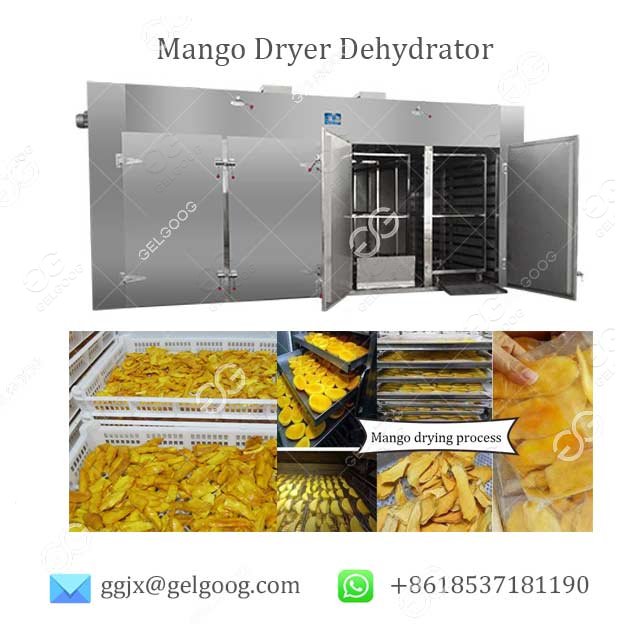 mango drying dehydrator