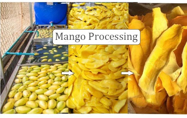 mango fruit washing machine