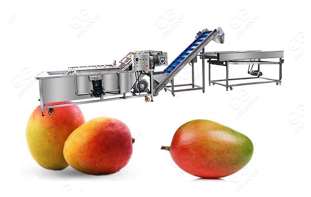 mango processing machine cost