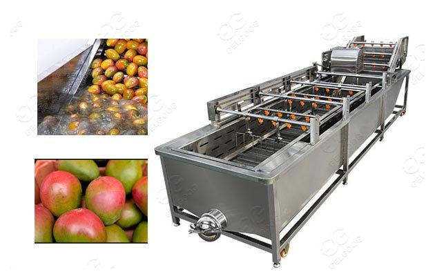 industrial mango cleaning machine