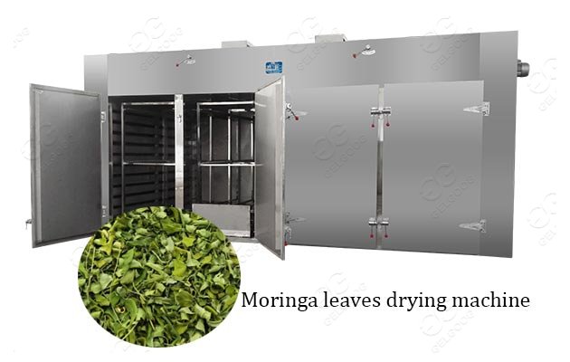 leaves dehydrator machine