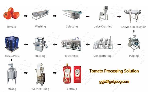 automatic tomato processing solution