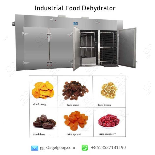 industrial food dehydrator