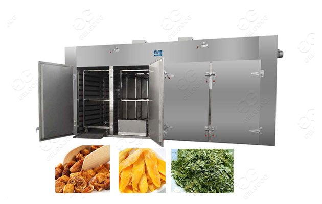 fruit chips drying oven