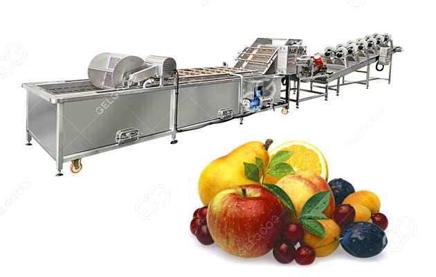 fruit vegetable washing line