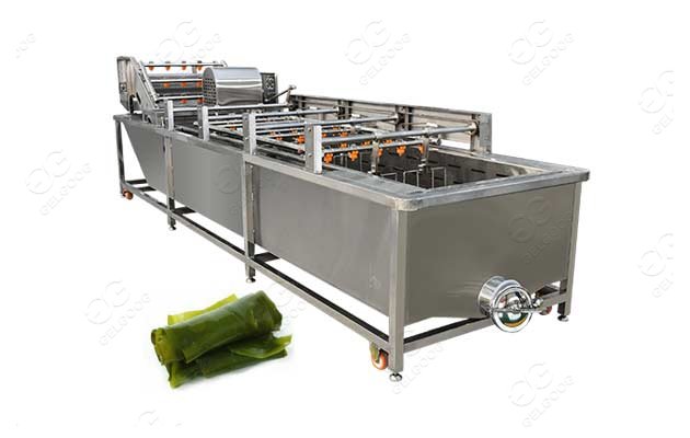 industrial seaweed processing machine