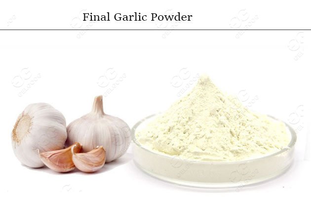 garlic powder making machine price