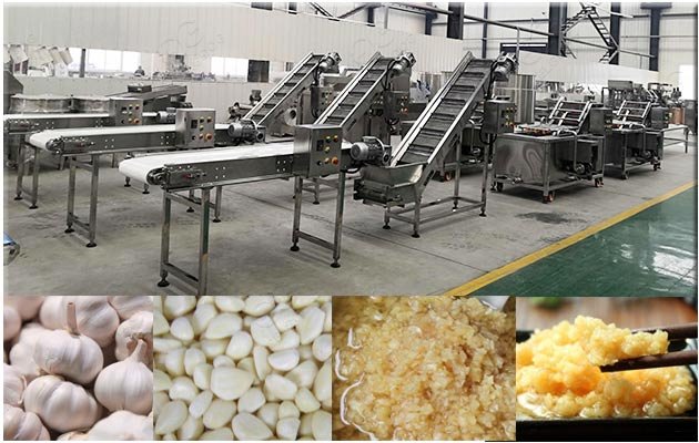 garlic sauce production line