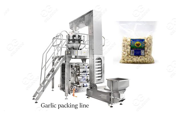 peeled garlic packing line