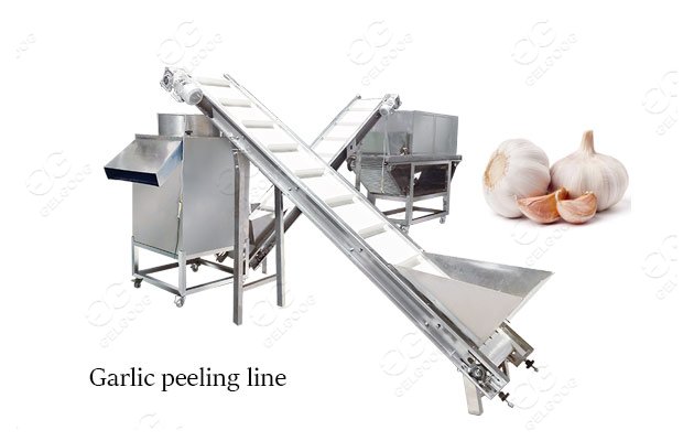 garlic peeling processing plant