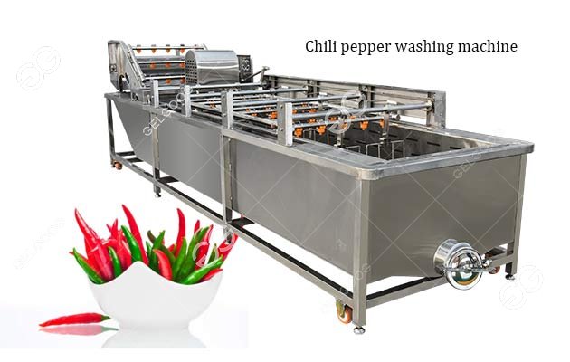 industrial chili pepper washing machine