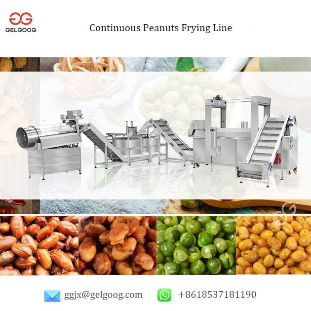 fried peanut processing line