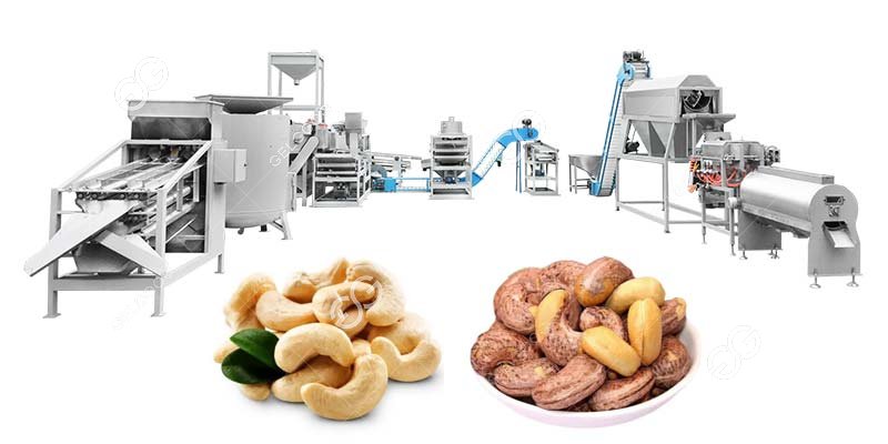 cashew nut processing plant