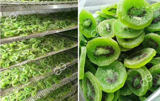 kiwi fruit drying machine