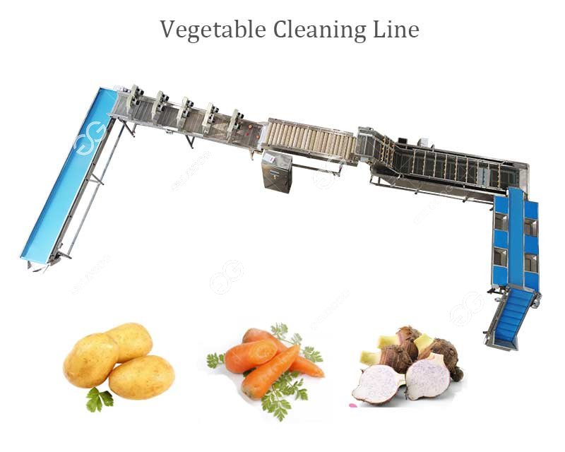 vegetable cleaning machine for sale